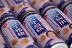 2025 年植物蛋白饮品十大品